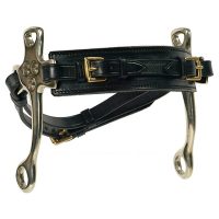 English-Hackamore-Stephens