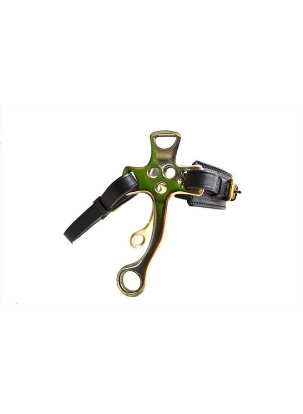 English-hackamore-side