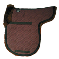 Shaped Showing Numnah.