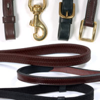 Web Grip Reins