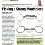 Picking a Strong Mouthpiece for Polo