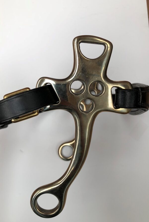 Stephens Hackamore