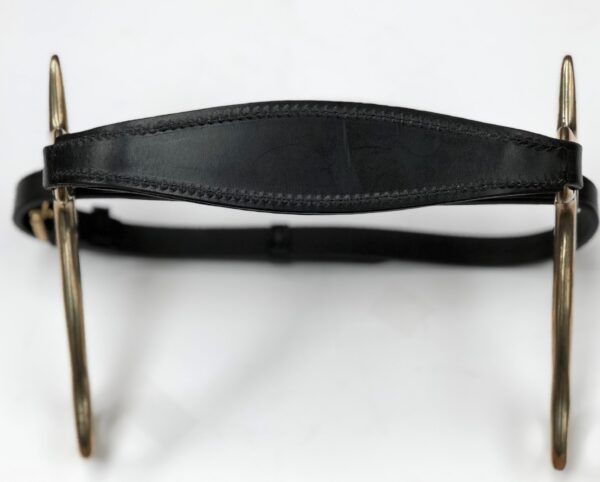 Stephens Hackamore #2