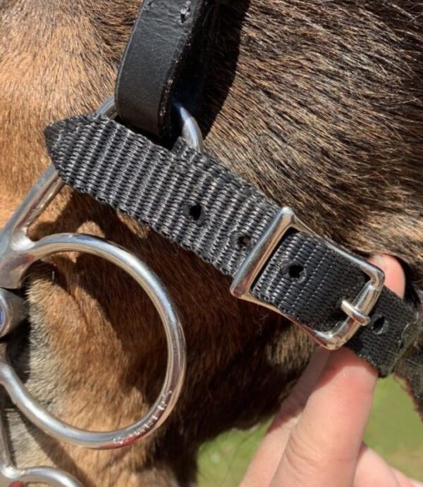 nylon-curb-strap